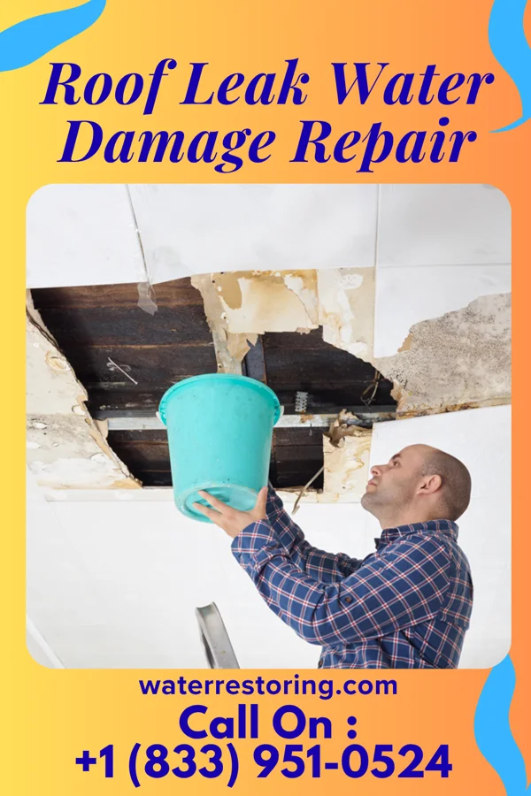Roof Leak Water Damage Repair in Embden, ND
